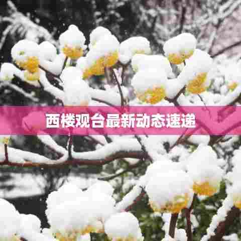 西楼观台最新动态速递