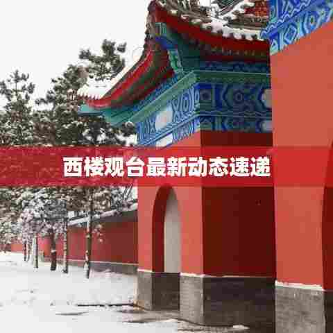 西楼观台最新动态速递