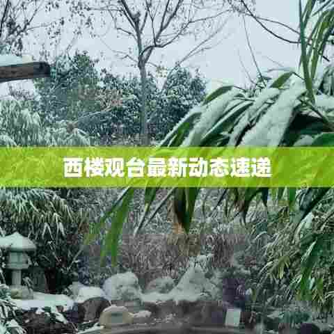 西楼观台最新动态速递