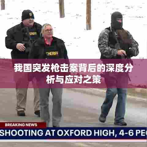 我国突发枪击案背后的深度分析与应对之策