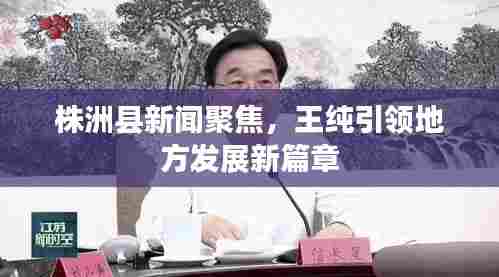 株洲县新闻聚焦，王纯引领地方发展新篇章