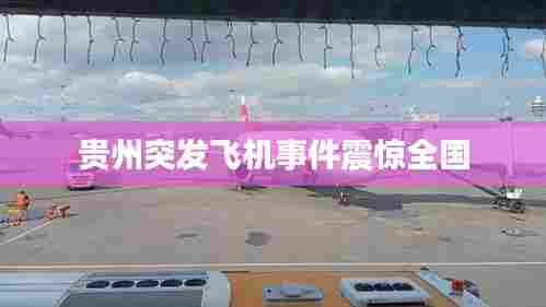贵州突发飞机事件震惊全国