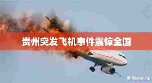 贵州突发飞机事件震惊全国