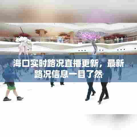海口实时路况直播更新,最新路况信息一目了然