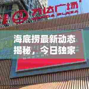 海底捞最新动态揭秘，今日独家消息速递