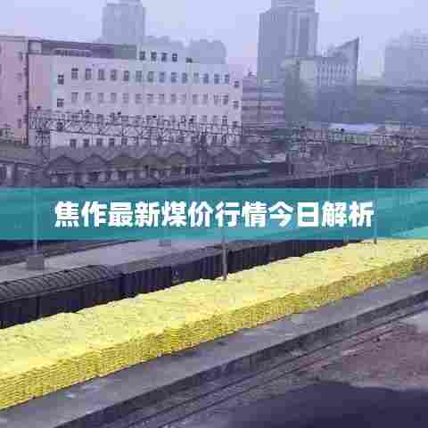 焦作最新煤价行情今日解析