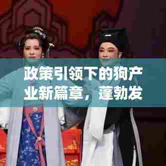 政策引领下的狗产业新篇章,蓬勃发展与创新升级