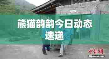 落落大方 第5页