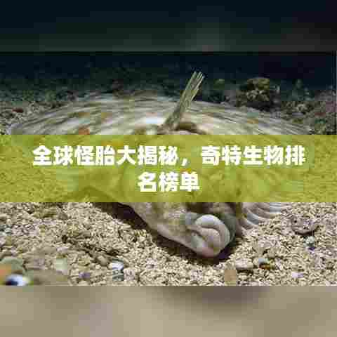 全球怪胎大揭秘,奇特生物排名榜单