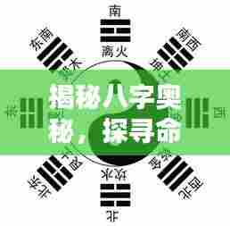 揭秘八字奥秘，探寻命运之轮的秘密，一站式八字查询助你洞悉未来！
