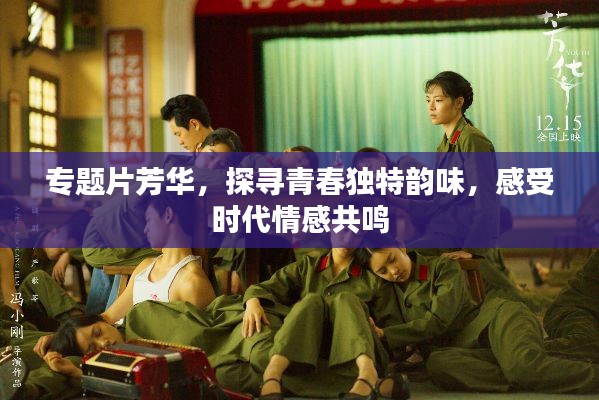 专题片芳华,探寻青春独特韵味,感受时代情感共鸣