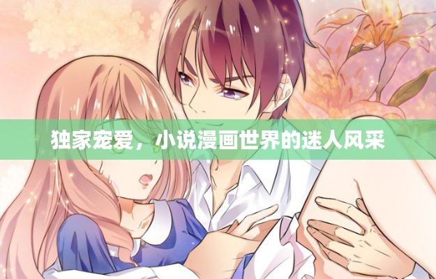 独家宠爱,小说漫画世界的迷人风采