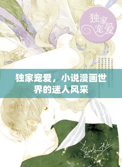独家宠爱,小说漫画世界的迷人风采