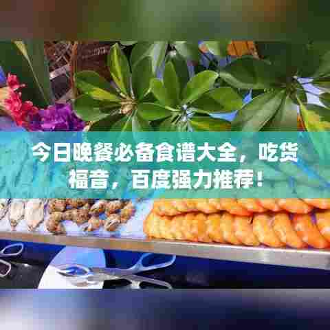 今日晚餐必备食谱大全，吃货福音，百度强力推荐！