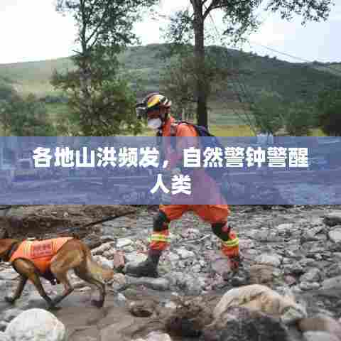 各地山洪频发,自然警钟警醒人类