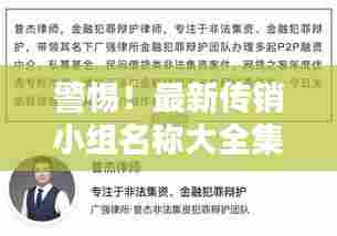 警惕！最新传销小组名称大全集曝光——深度揭示犯罪真相
