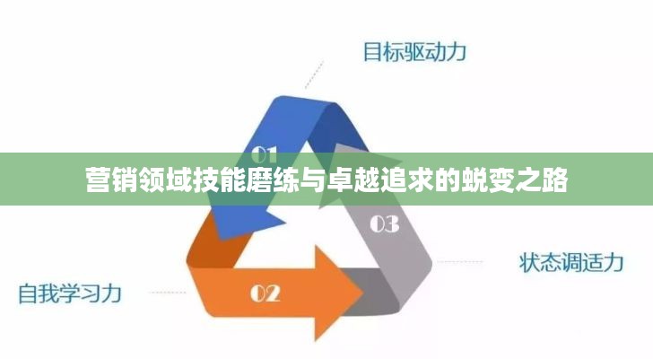 营销领域技能磨练与卓越追求的蜕变之路