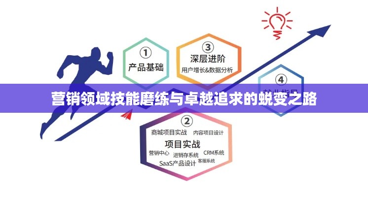 营销领域技能磨练与卓越追求的蜕变之路