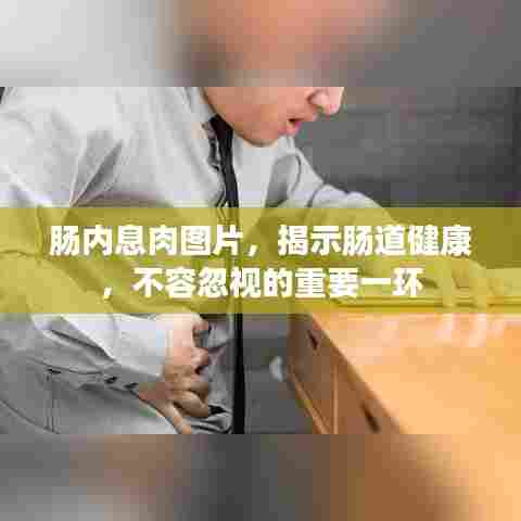 肠内息肉图片，揭示肠道健康，不容忽视的重要一环