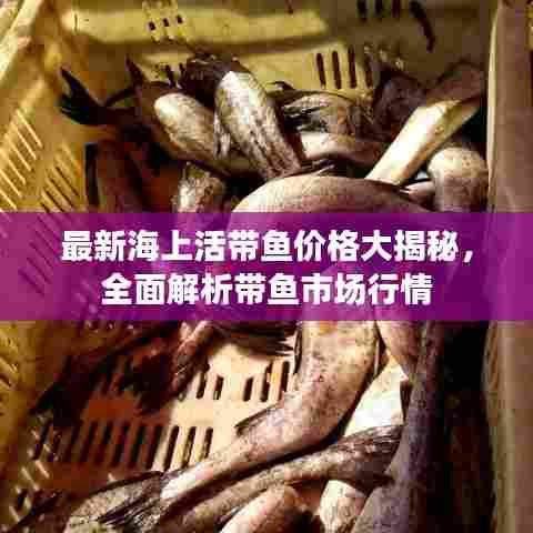 最新海上活带鱼价格大揭秘，全面解析带鱼市场行情