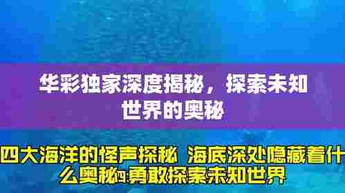 华彩独家深度揭秘,探索未知世界的奥秘