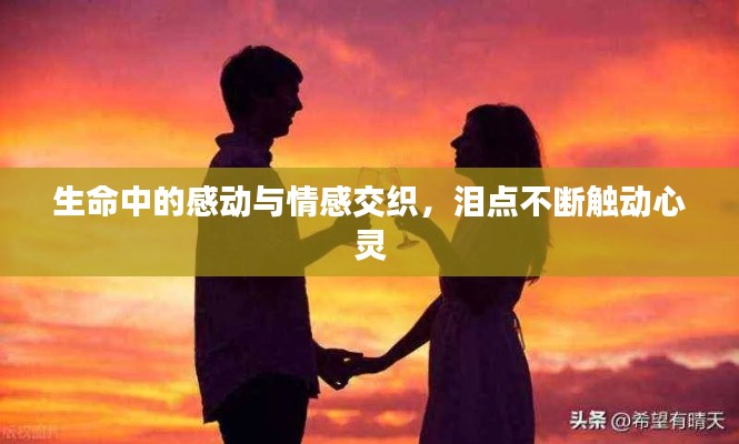 生命中的感动与情感交织，泪点不断触动心灵