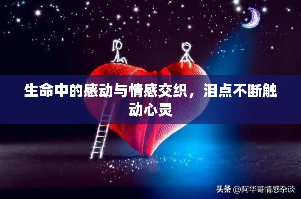 生命中的感动与情感交织,泪点不断触动心灵