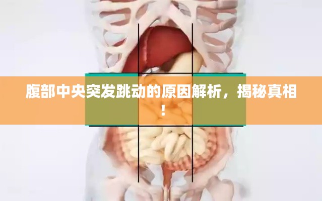 腹部中央突发跳动的原因解析,揭秘真相!