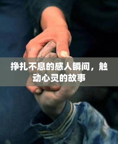 挣扎不息的感人瞬间，触动心灵的故事