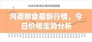 河南粮食最新行情,今日价格走势分析