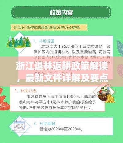 浙江退林返耕政策解读,最新文件详解及要点分析