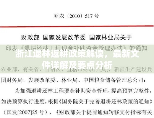 浙江退林返耕政策解读,最新文件详解及要点分析