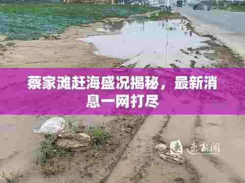蔡家滩赶海盛况揭秘，最新消息一网打尽