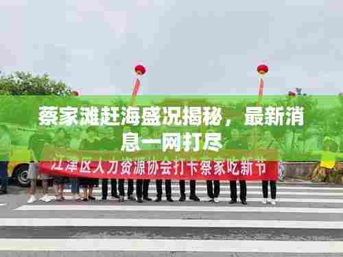 蔡家滩赶海盛况揭秘,最新消息一网打尽