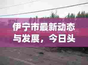 伊宁市最新动态与发展,今日头条新闻聚焦中国小城崛起