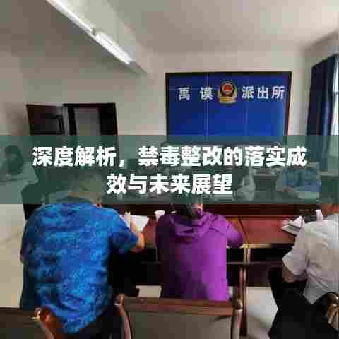 深度解析,禁毒整改的落实成效与未来展望