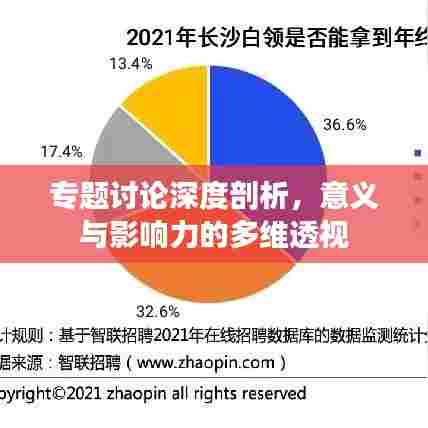 专题讨论深度剖析，意义与影响力的多维透视
