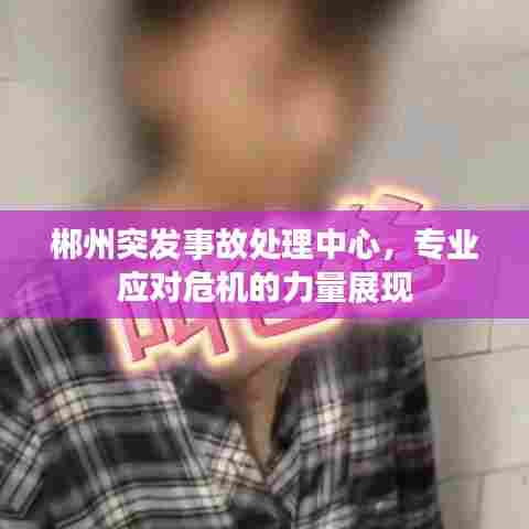 郴州突发事故处理中心,专业应对危机的力量展现