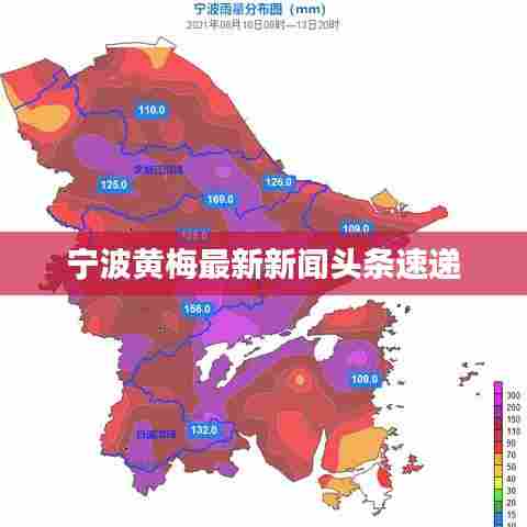 宁波黄梅最新新闻头条速递