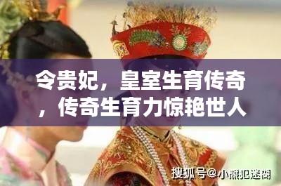 令贵妃,皇室生育传奇,传奇生育力惊艳世人