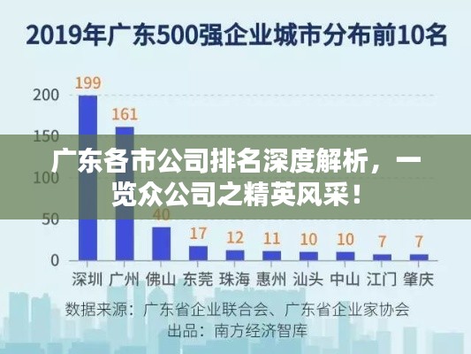广东各市公司排名深度解析，一览众公司之精英风采！