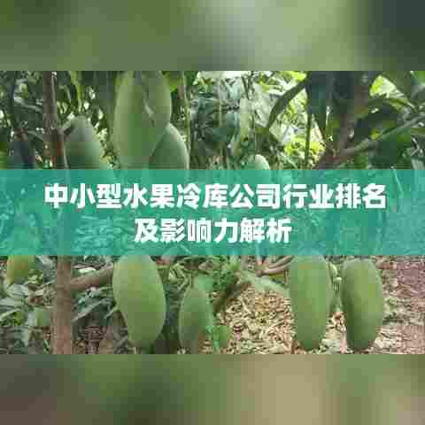 中小型水果冷库公司行业排名及影响力解析