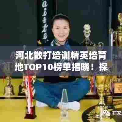 河北散打培训精英培育地TOP10榜单揭晓！探寻武术技艺巅峰之选