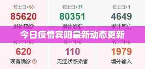 今日疫情宾阳最新动态更新