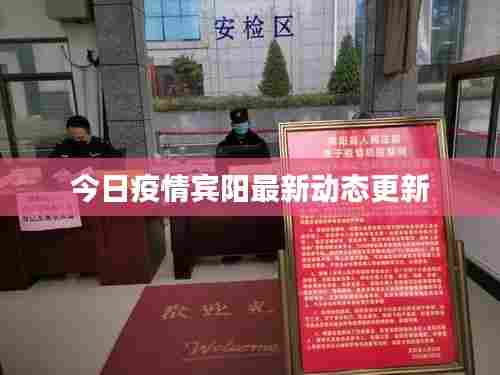 今日疫情宾阳最新动态更新