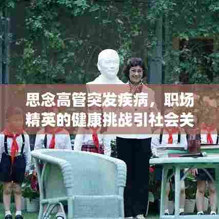 思念高管突发疾病，职场精英的健康挑战引社会关注