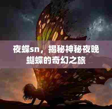夜蝶sn，揭秘神秘夜晚蝴蝶的奇幻之旅