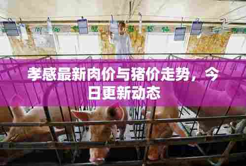 孝感最新肉价与猪价走势，今日更新动态