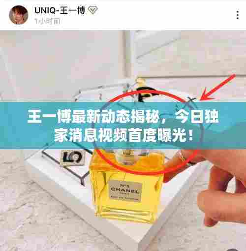 王一博最新动态揭秘，今日独家消息视频首度曝光！