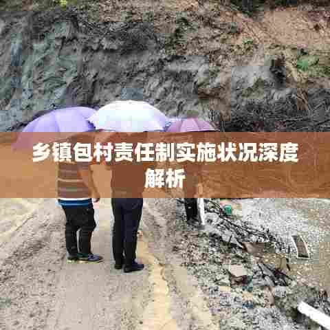 乡镇包村责任制实施状况深度解析